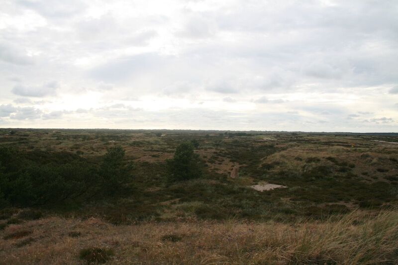 kallesmærsk hede kallesmærsk hede