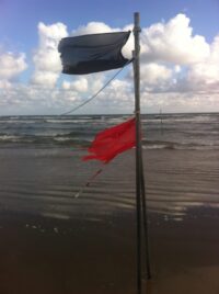 Blåvands historie. Tag på vandring gennem historien og genfind de ...